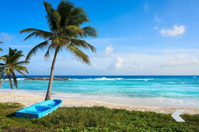 MEXICANO3493's tweet photo. POUR RÉPONDRE AUX DM QUI ME DEMANDENT SI IL Y AURA UN 🎁1K FOLLOWERS.
JE PARS TROIS JOURS SUR L’ÎLE DE COZUMEL 🏝
SI À MON RETOUR NOUS SOMMES TOUJOURS 1000 IL Y AURA SANS AUCUN DOUTE UN GOODIES PARA MIS SEGUIDORES. ♻️❤️
#TeamParieur #3DAYSOFF #REST https://t.co/NPvu7D2Xkh