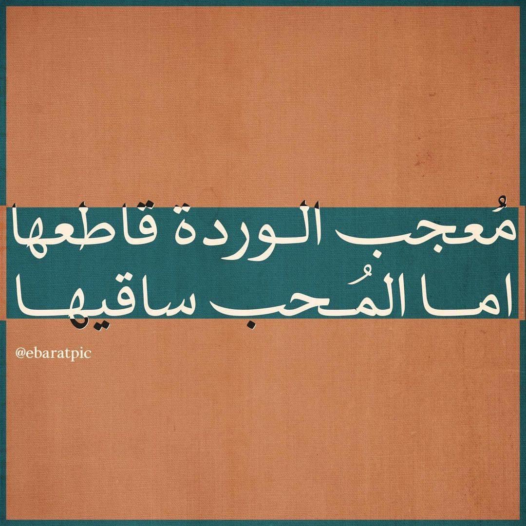 Warrq_'s tweet photo. أما المُحب ساقيهـا .. https://t.co/IQA0LaeWj9