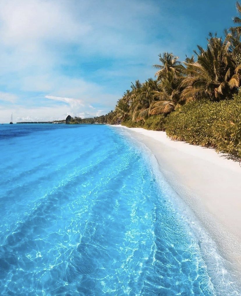 WORLD 2026 🌊 tweet media