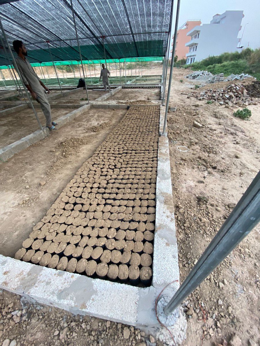 A $SPE planting technique is using biodegradable seed packets in a sheltered area. 

Allowing us to nurture &amp; protect the saplings until they’re ready for safe transport to our plantations. 

Saplings will be tagged, monitored &amp; audited ensuring high standards. 

#CarbonCredits