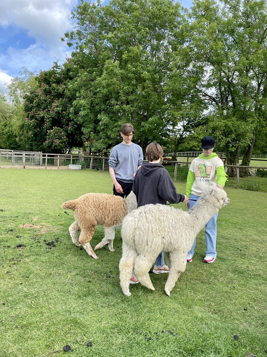 SZecius's tweet photo. Lovely day at Pennybridge farm. We had a good time and we make some memories! โ๏ธ๐ฆ Love The Alpacas! ๐ #alpacas #daddyweekend #dayout #familytime #happyday #nurselife https://t.co/JuSv03Z4cs