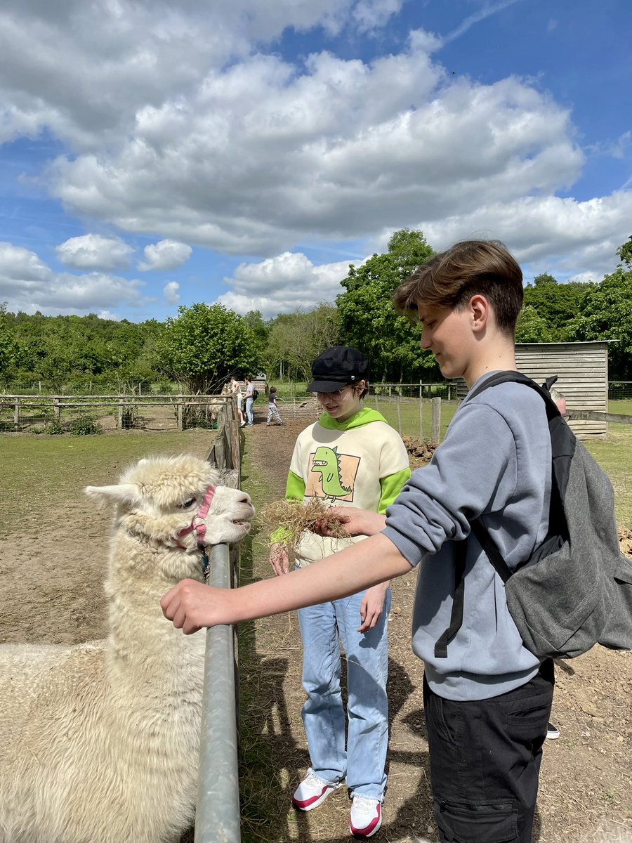 SZecius's tweet photo. Lovely day at Pennybridge farm. We had a good time and we make some memories! โ๏ธ๐ฆ Love The Alpacas! ๐ #alpacas #daddyweekend #dayout #familytime #happyday #nurselife https://t.co/JuSv03Z4cs