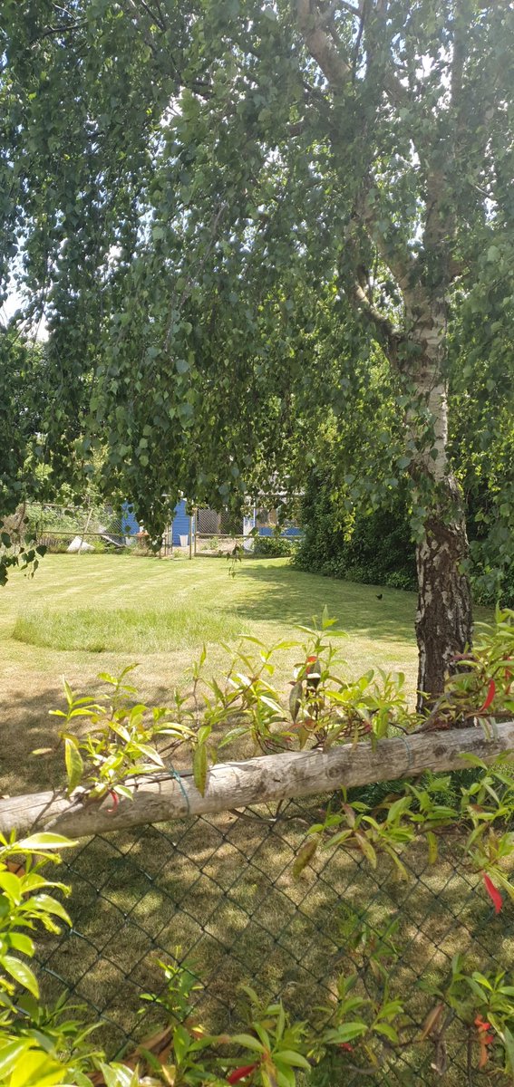 Iain Lowery (@navyharsties) on Twitter photo 