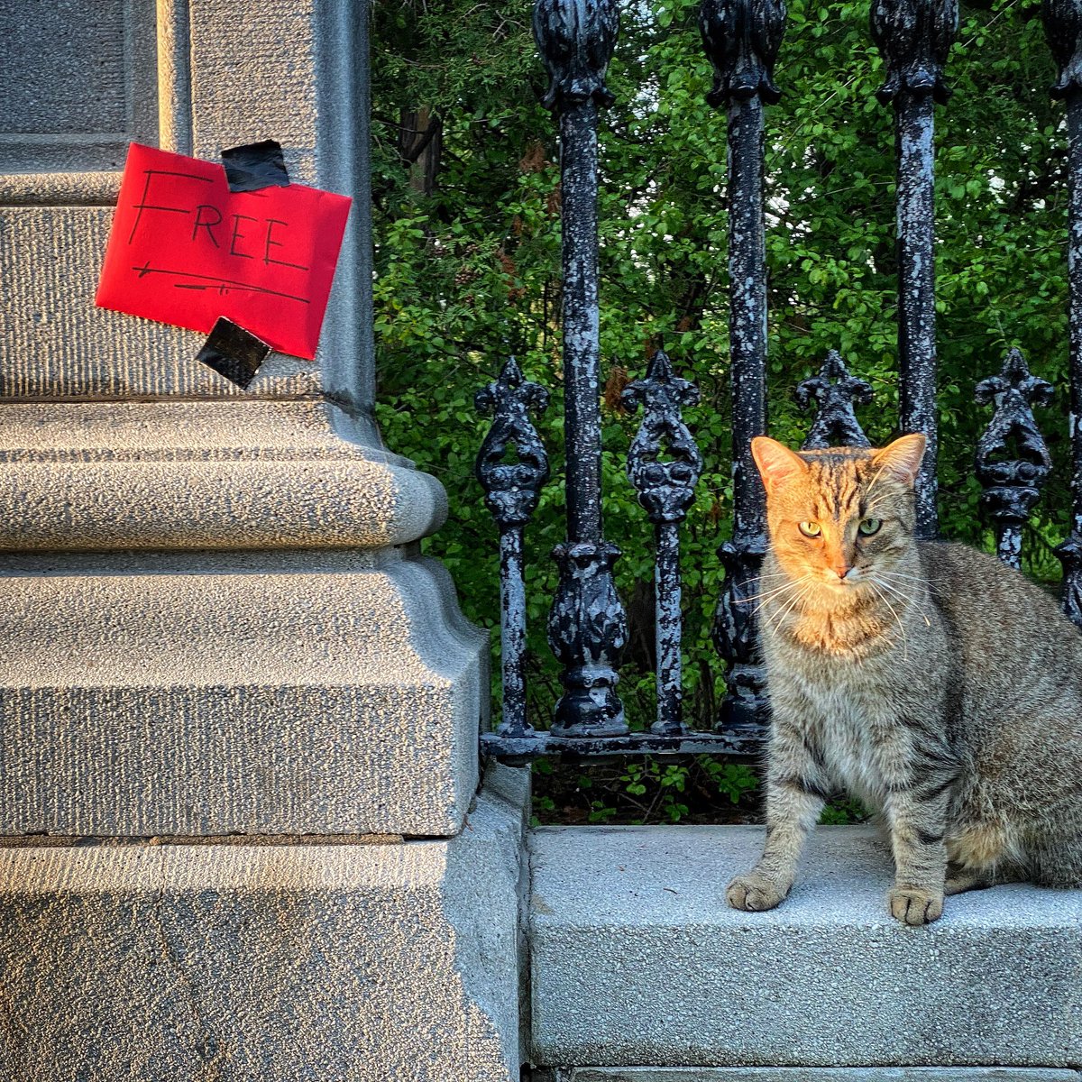 exposedproject's tweet image. Posted a free eXposedProject print at Rideau Hall in New Edinburgh. (The cat’s not part of the deal!)