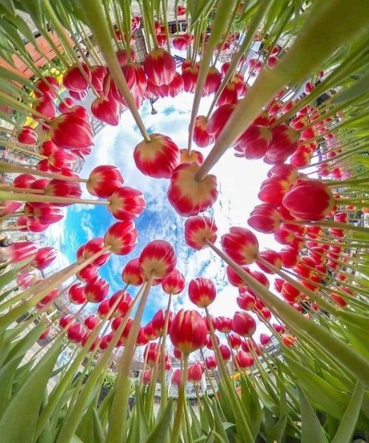 O sentimento que você emana na direção do seu próximo é o mesmo que permanece ao seu redor...
Bom dia, feliz domingo a tds!!!