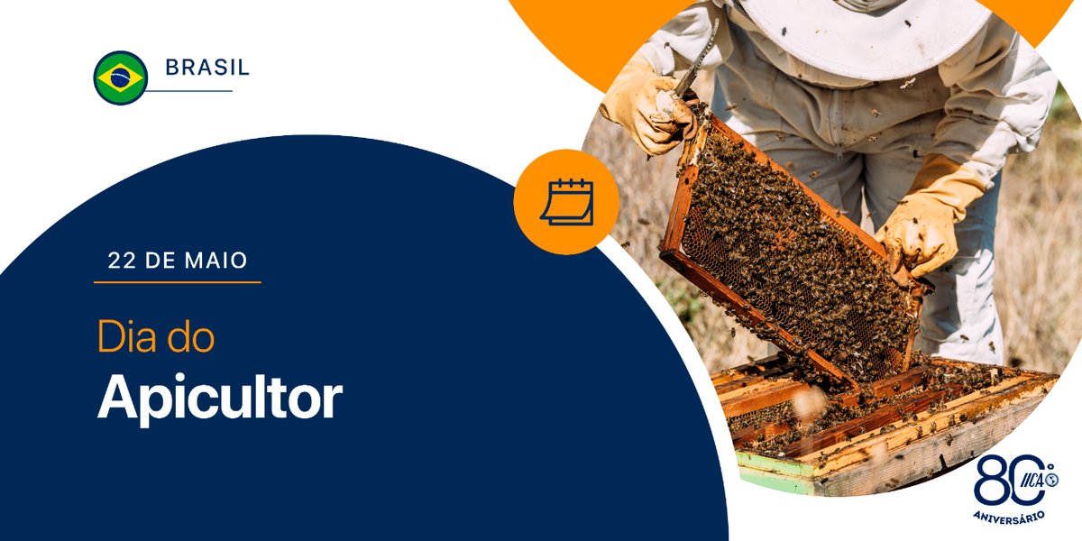 📌Hoy es el Día del Apicultor en Brasil🍯🇧🇷
🤔¿Pero qué es la apicultura? 👉 Es la crianza y cuidado de las abejas 🐝👉 A través de ella se obtienen productos como la miel, el propóleo, la cera y el polen.