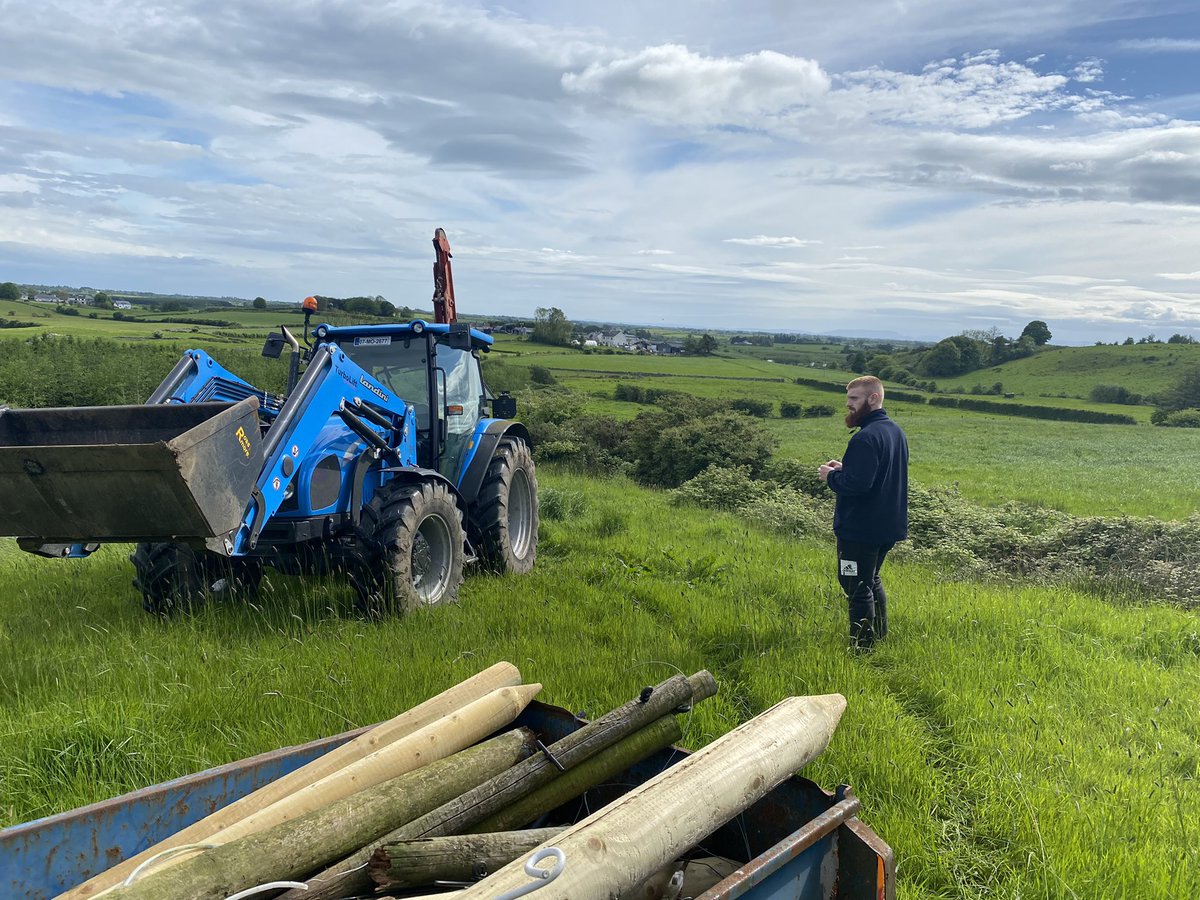 Ger Flanagan tweet media