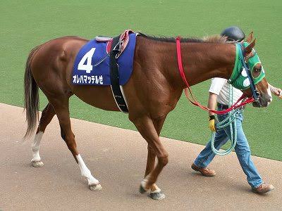 みんなが教えてくれた 面白い競走馬の名前 話題の画像プラス