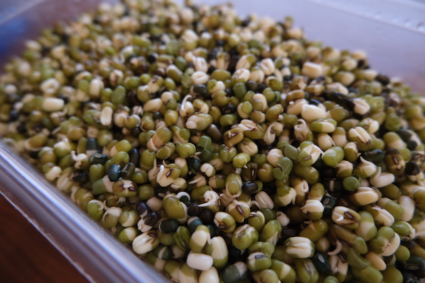 キッチン前田 お取り置き予約の受付終了しました 当日分も沢山ご用意しておりますので ご予約のないお客様もご来店お待ちしております 当日分のご用意が無くなりそうになったら早めにアナウンスいたします ムングダル ウラドダル フェヌグリーク