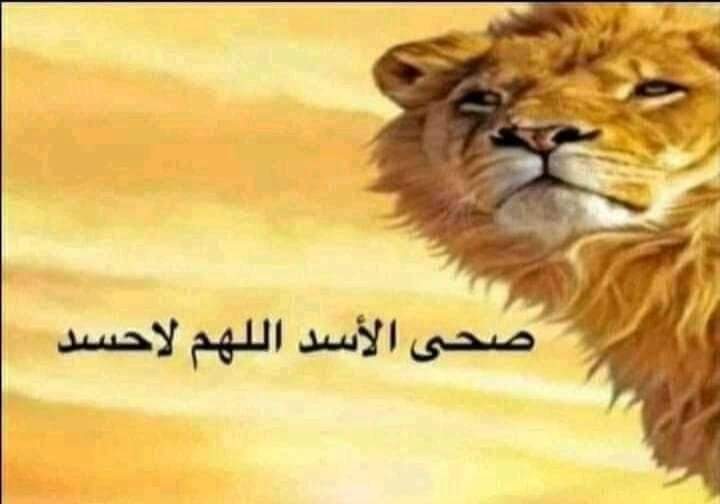 POV:
الدكاتره قبل الفاينل بيومين:
