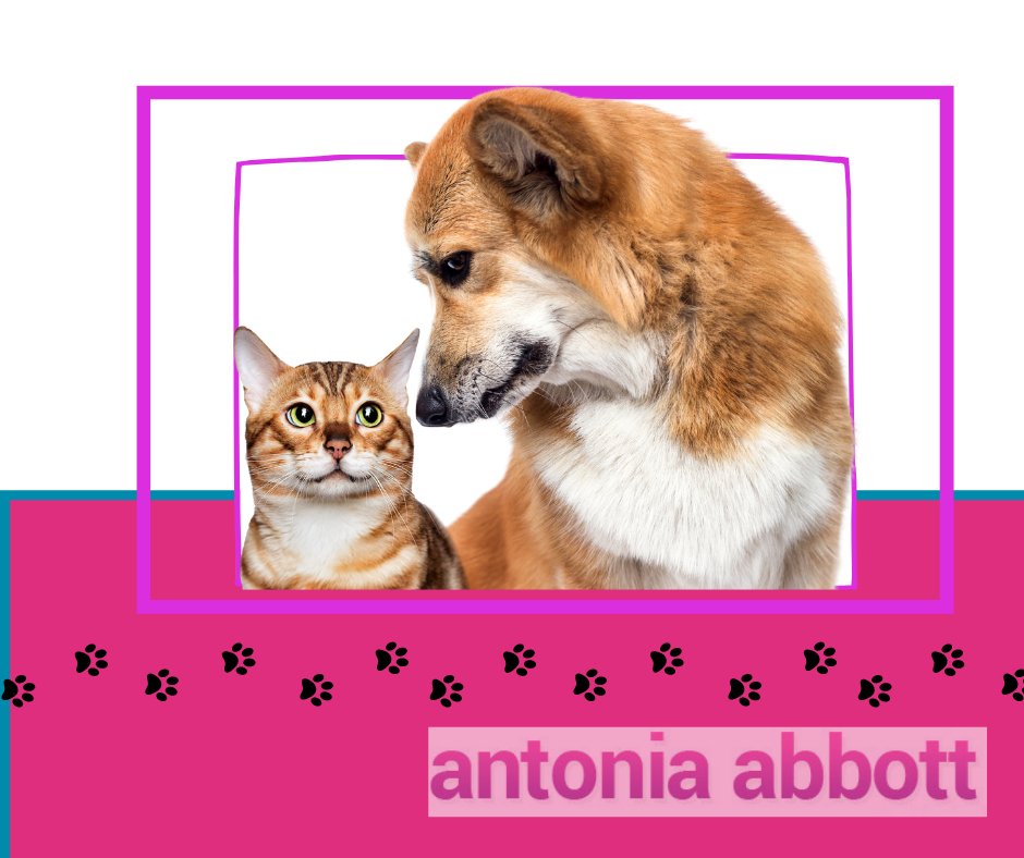 Antonia_Author's tweet photo. Dogs feature throughout the trilogy – but are you more of a cat or a dog person? #DogsVCats #AskTwitter https://t.co/jDCQmoQt8Z