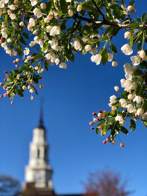ColbyCollege's tweet photo. Pulitzer Prize winner and National Humanities Medal recipient Isabel Wilkerson will address the Class of 2022 at the College’s 201st Commencement, starting at 10 a.m. EDT. Watch live: https://t.co/j9LwD3F9FY #Colby2022 https://t.co/nqpMeeyVVm
