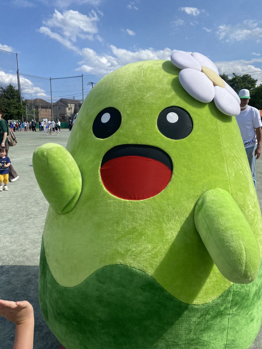 俺は数年前、サイモンさんは数十年前に通ってた母校にこういった形で戻ってこれて最高です

漢さん、般若さん、尾山台中学校、商店街、東栄会の皆様、ご協力ありがとうございました🔥

皆んな、尾山台やばいっしょ

#simonjap #kagi #世田谷 #尾山台 #hiphop #warugakig #jacelavel