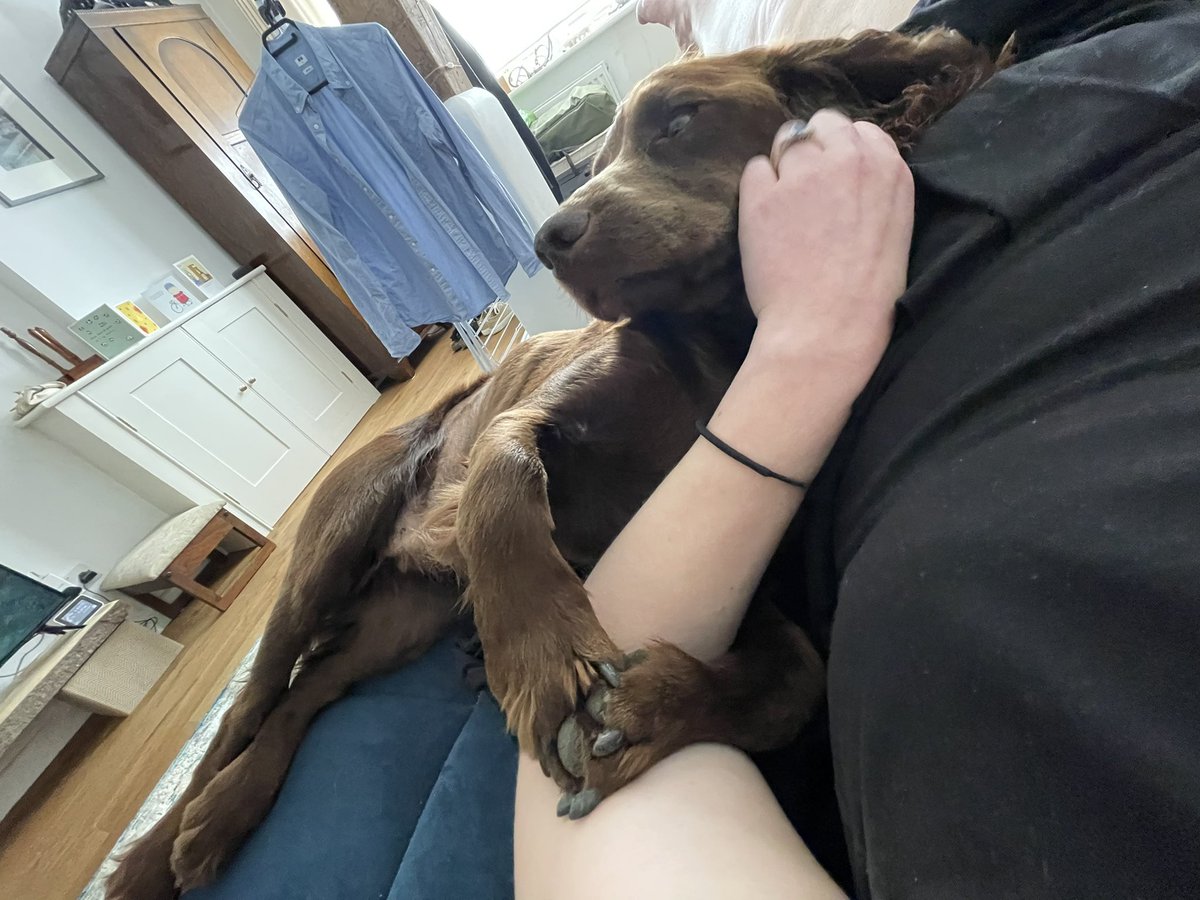 helloflen_'s tweet image. this is the best moment of my life.