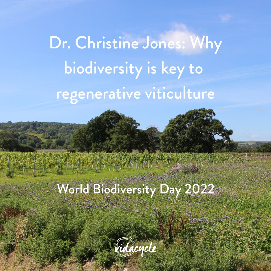 Happy #WorldBiodiversityDay! Celebrate with our #soilscience special: How does growing a diverse range of living plants in your #vineyard build #soilhealth? In our new blog we review a webinar series by Dr. Christine Jones and <a href="/GreenCoverSeed/">Green Cover Seed</a> - read here: vines.vidacycle.com/secret-science…