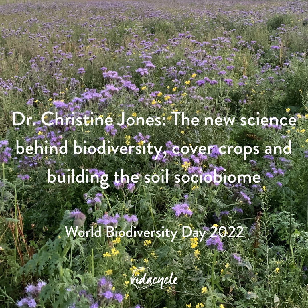 Soilmentor (@soilmentor) on Twitter photo Happy #WorldBiodiversityDay! Celebrate with our #soilscience special: How does growing a diverse range of living plants on your farm build #soilhealth? In our new blog we review a webinar series by Dr. Christine Jones and <a href="/GreenCoverSeed/">Green Cover Seed</a> - read here: soils.vidacycle.com/soil-health/sc… Happy #WorldBiodiversityDay! Celebrate with our #soilscience special: How does growing a diverse range of living plants on your farm build #soilhealth? In our new blog we review a webinar series by Dr. Christine Jones and <a href="/GreenCoverSeed/">Green Cover Seed</a> - read here: soils.vidacycle.com/soil-health/sc…