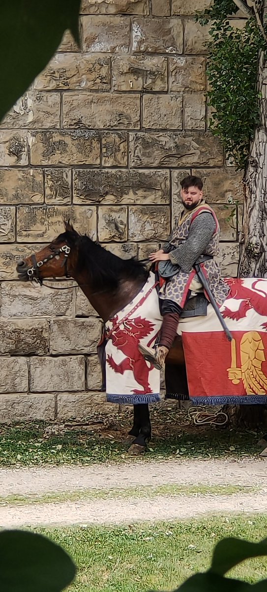 TBigJonas's tweet photo. @IbaiLlanos  caballero medieval https://t.co/JfAiVZxWKN
