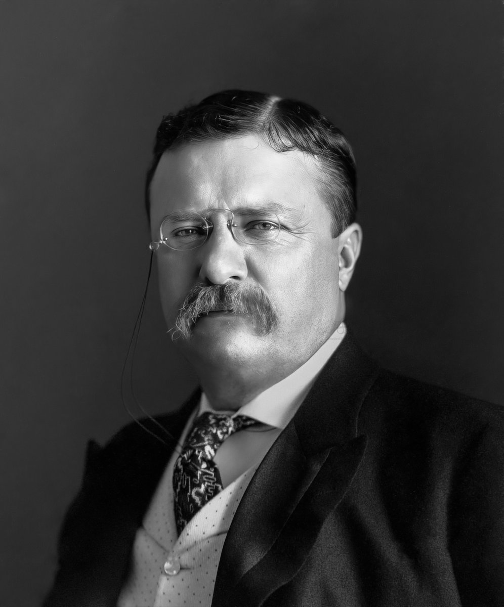 Theodore "Teddy" Roosevelt 1904

#theodoreroosevelt #abd #usa #teddyroosevelt #color #history #historyincolor #historycolored #colour #colourized #colorized #americanhistory #teddy #President