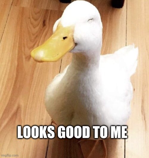 dvcks tweet media