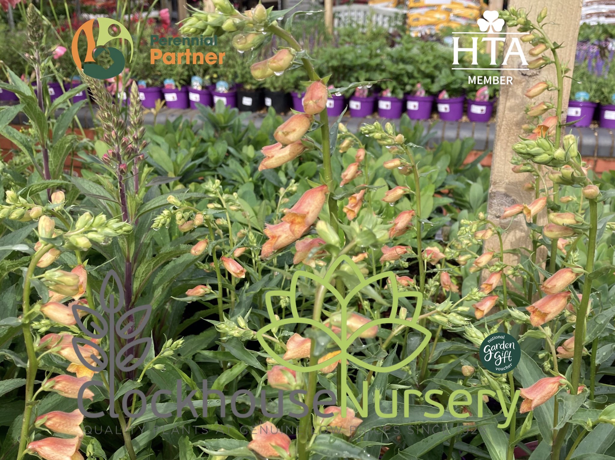 Clockhouse Nursery (ClockhouseEN2) / Twitter