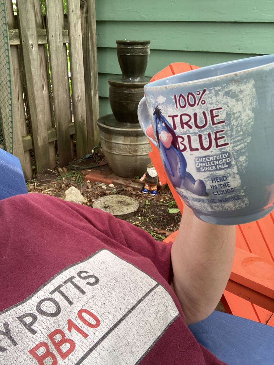 Calm before the storm. Pre-gaming in my serenity garden. Dogs didn’t even join me. Can’t believe it’s down to today. #Mood #TogetherWeCanUTC @BurnleyOfficial @PLinUSA @peacockTV #MyPLMorning