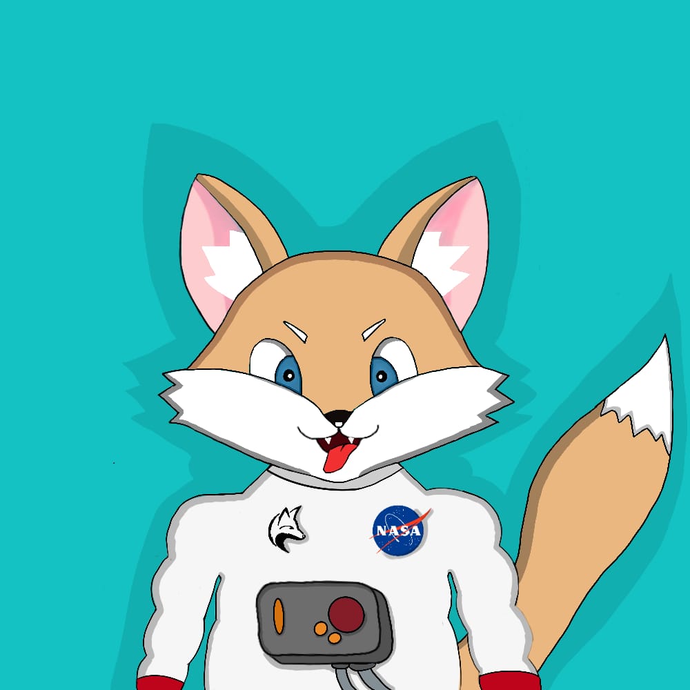 FoxesCrew's tweet photo. Who wants to go to space with us? 🪸🚀
we are ready because we are FOXES CREW!

#SOL #Solana #SolanaNFT #NFT #NFTProject #StakingNFT #MagicEden #solsea #mint https://t.co/j00VhopQSX
