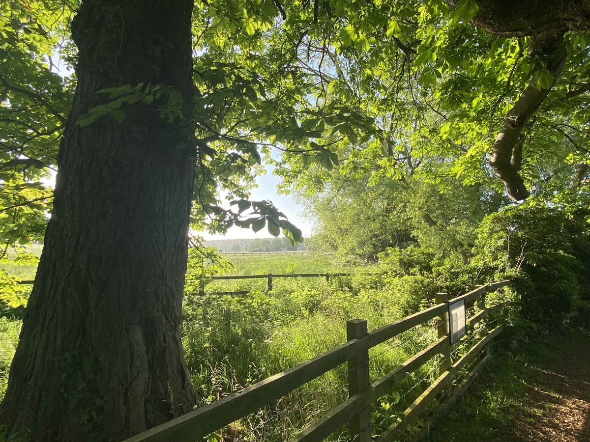 KareyDraper's tweet photo. Sunny Sunday… #northamptonshire #weekendwalks https://t.co/WbEzebTH95
