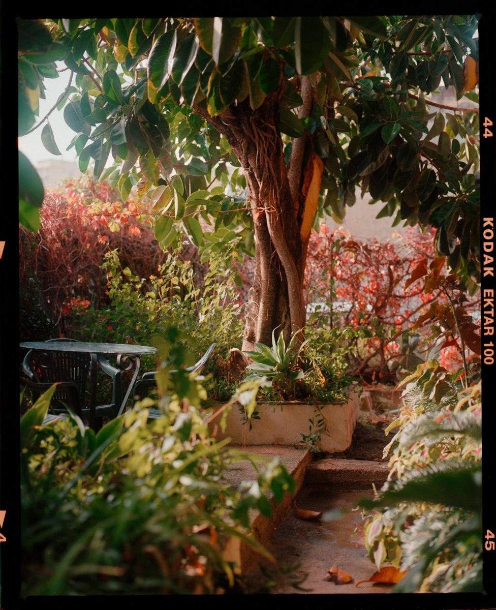 takeuchifilm's tweet image. Italy on film