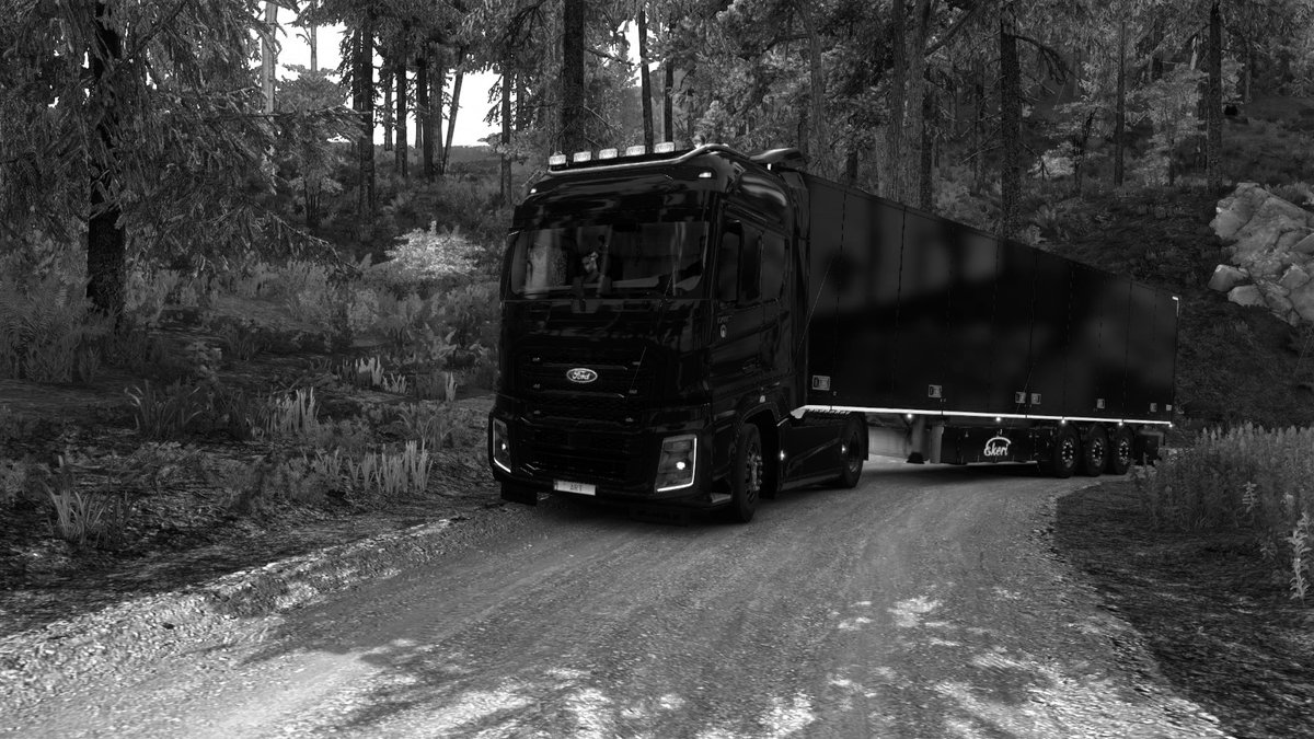 arrowsrealm's tweet photo. #ETS2 #EuroTruckSimulator2 @SCSsoftware #scssoftware #BestCommunityEver #TruckSim #TruckSimulator #simulator #fordfmax https://t.co/lYVfsErmkI