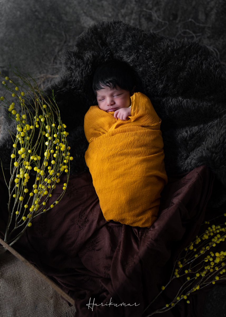 haaary__'s tweet photo. Evania Steffin

#babyphotography #newbornphotography
#babiesofinstagram #cutebabies
#indianphotographers #photographersofkerala https://t.co/8hxoSsLQ80