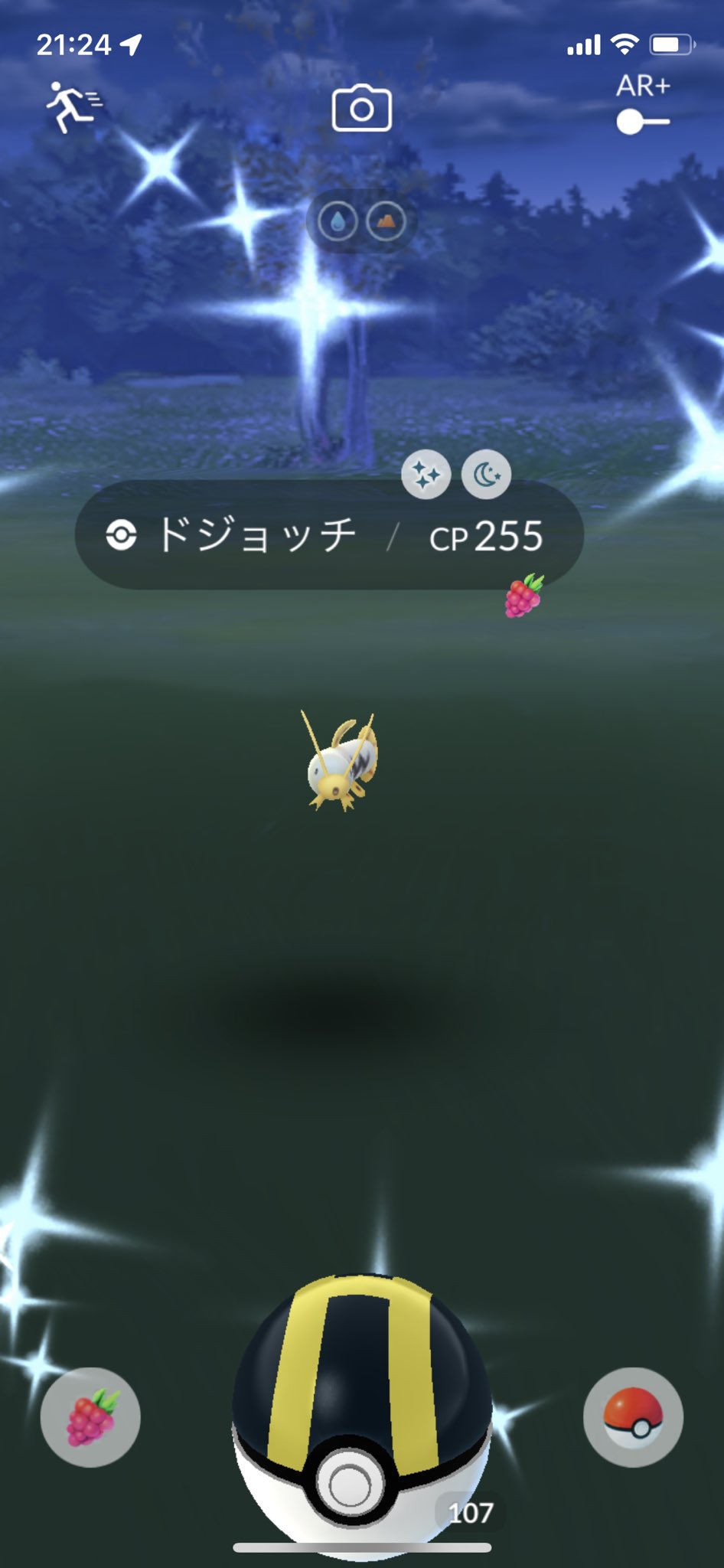 ももの Pokemon 激務のためポケgoになかなか集中出来ないこの頃でした ꈨ ꈨ もちろん色違いも全然出てなくて のんびりタイムにリビング𖠚 で開いてたら 来てくれました 久々の色違い やっとドジョッチ色違い ๑ᵒ ᗨᵒ