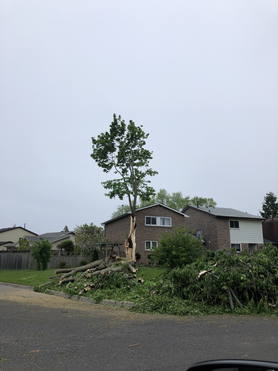 rana aluraibi tweet media