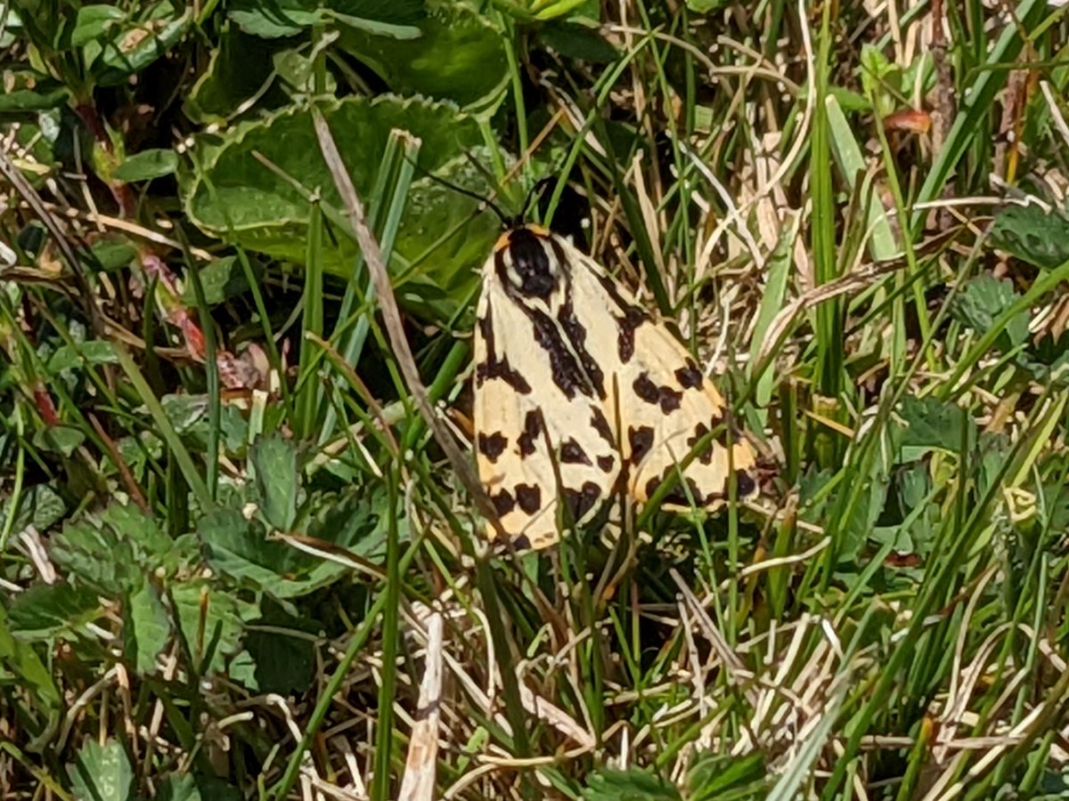 Martin Raper tweet media