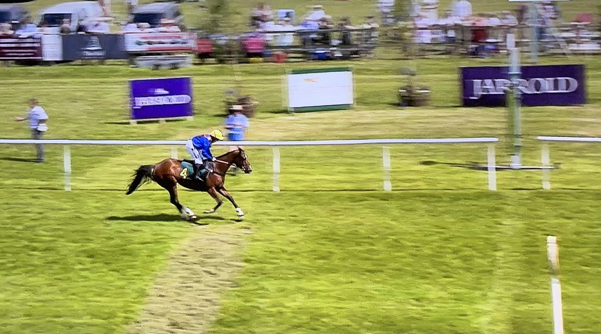 amajox's tweet photo. Congratulations @amajox @beckysmith360 WINS @RacingTV @FakenhamRC #Guidedbythescience @gillian_boanas to join #leadingladies @ginaandrews19 @lucy93_x all now on #7wins with just 5 days to amateur NH season @stratfordraces & #championships finale! #champs #topride #topjock👏🏆 https://t.co/Ry0K6ptv47