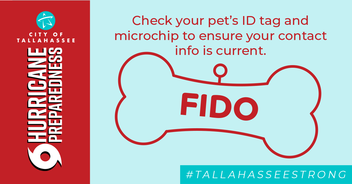 When you move or get a new phone number, many things need updated, including your pet's ID tag and microchip records. Double check these items this week. This could make a huge difference if you are separated from your beloved pet during a storm.
