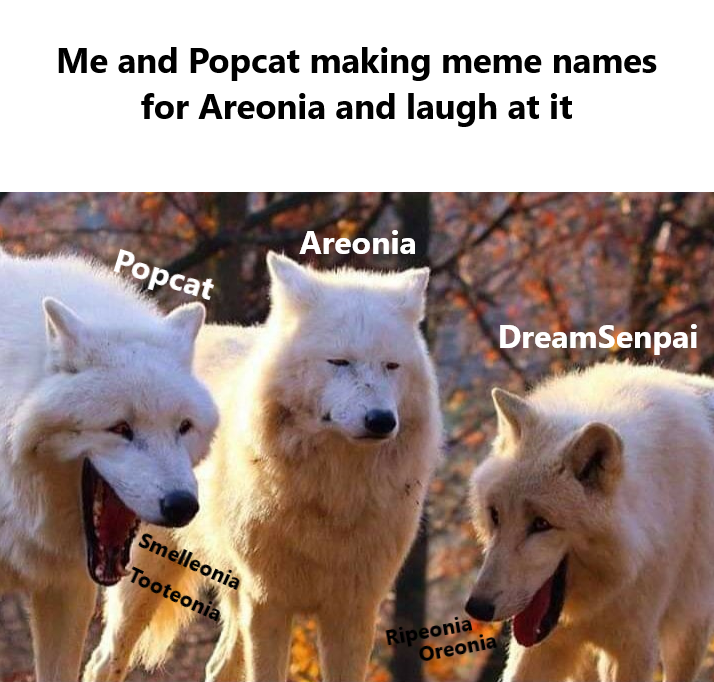 DreamSenpaiVT's tweet photo. Another meme for #ComfyVT sry not sry @AreoniaVT 😂 | @PopcatV
#Vtubers #ENVtubers #VTuberUprising https://t.co/DUfash4aVZ