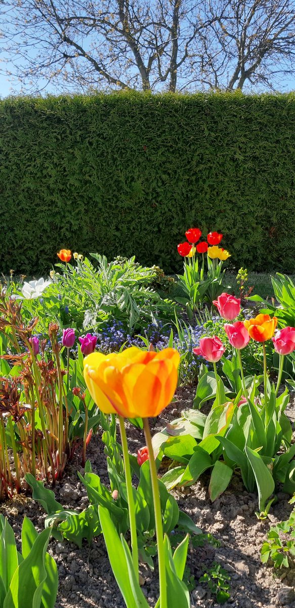 Wunderschönen Nachmittag 💛🍀
#MyPhoto