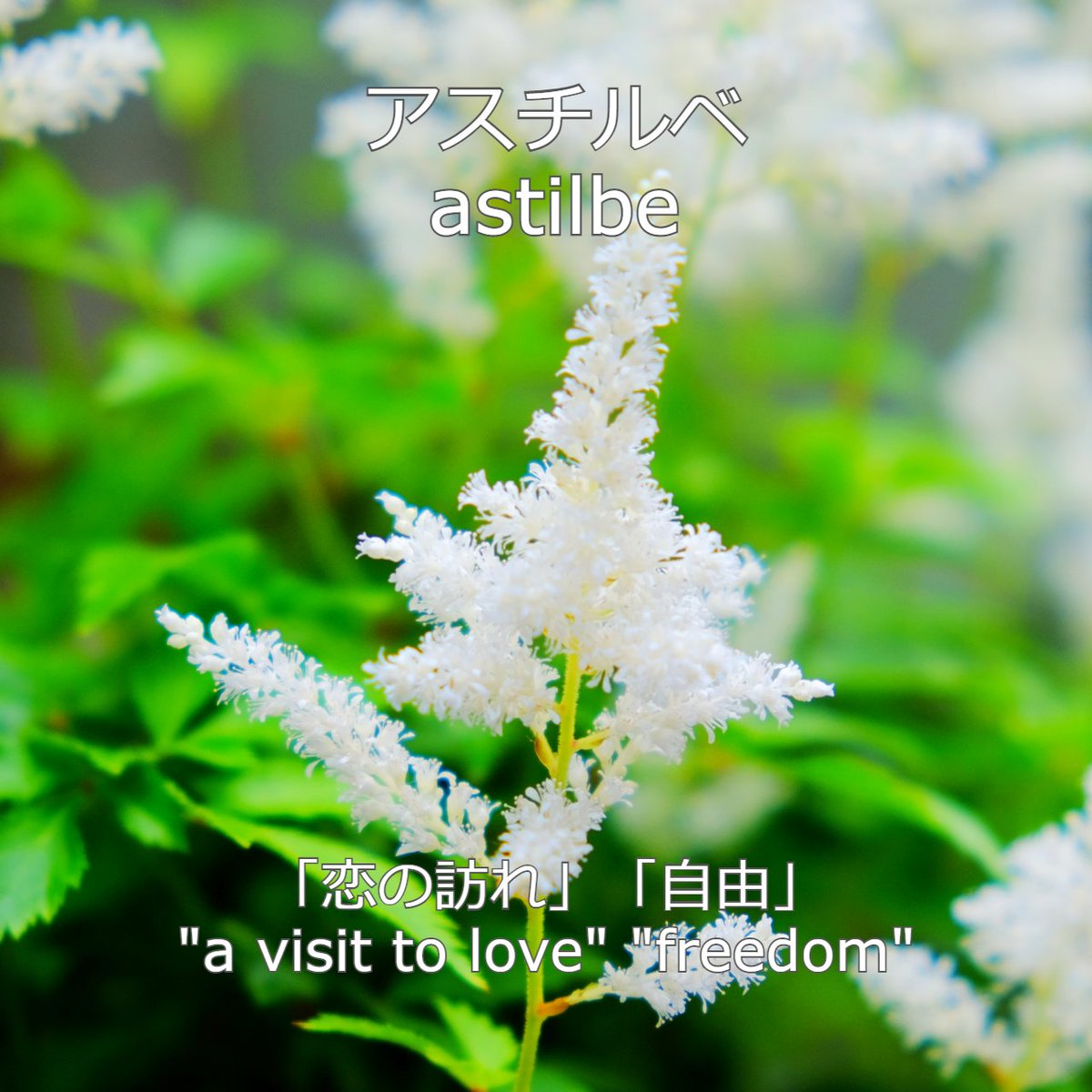 天使とらぞう 新しい朝が来た 本日 6月1日生まれ のあなた様 おめでとうございます あなたの 誕生花 は アスチルベ 花言葉 は 恋の訪れ 自由 誕生色 は ペールクロッカス 色言葉 は 女性らしさ 自分への投資 うぬぼれ 天使とらぞう 新しい朝が来た 本日 6月1日生まれ のあなた様 おめでとうございます あなたの 誕生花 は アスチルベ 花言葉 は 恋の訪れ 自由 誕生色 は ペールクロッカス 色言葉 は 女性らしさ 自分への投資 うぬぼれ