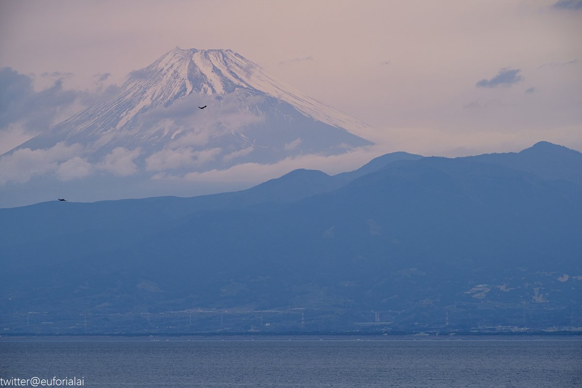 euforialai's tweet photo. 「薄日 -Faint Twilight-」
#写真好きな人と繋がりたい #ファインダー越しの私の世界 #西浦 #findour沼津 #海上保安庁 #PL66 #photography https://t.co/Lfl7GoBuPq