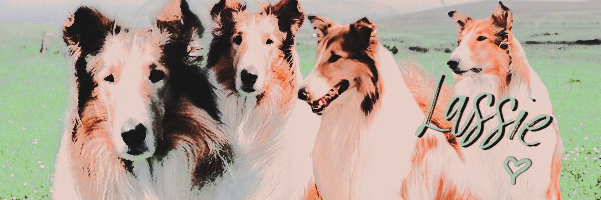 Can we appreciate <a href="/NlGHTDREAMER/">ᅠ ᅠ ᅠ𝕸𝐑 𝕾𝐀𝐍𝐃𝐌𝐀𝐍 . . .</a> for this LMFAO I’m screaming