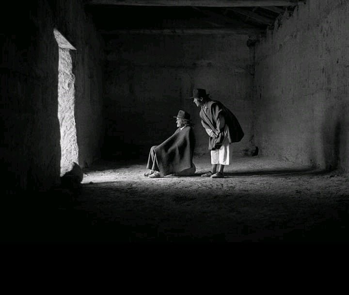 literlandweb1's tweet photo. "Debes vivir la vida con el convencimiento de que tus actos permanecerán. Somos criaturas que dejamos huella".
Zadie Smith
📷Flor Garduño https://t.co/vpkChIecC7