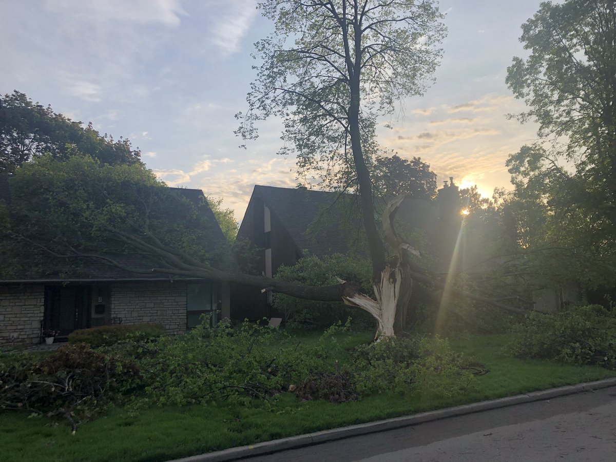 Robert Ashton (He-Him-His / Il) tweet media