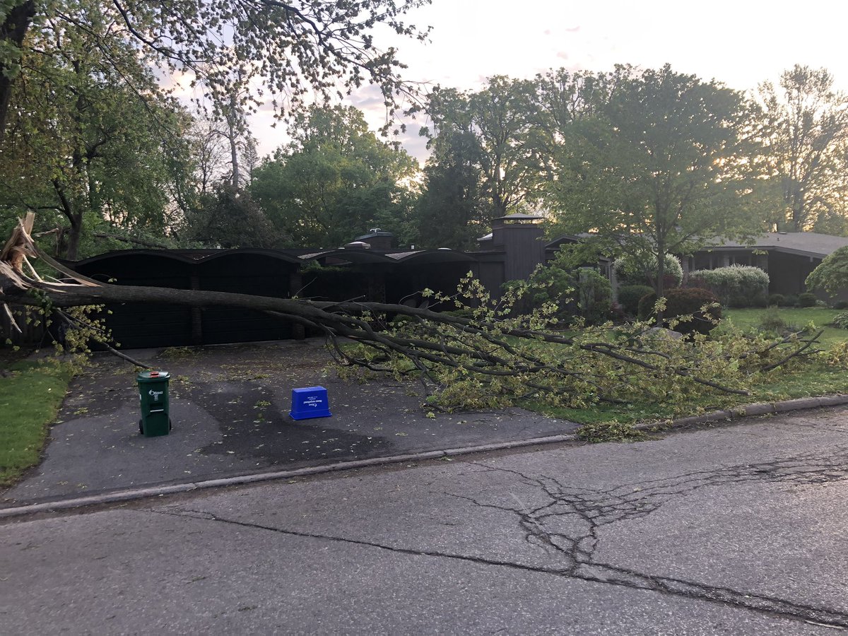 Robert Ashton (He-Him-His / Il) tweet media