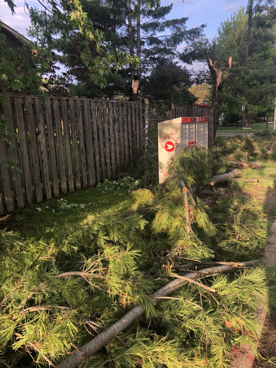 Robert Ashton (He-Him-His / Il) tweet media