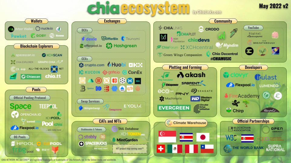 Slowest Timelord tweet media