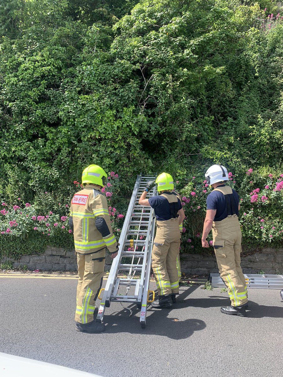 Great response from <a href="/swpolice/">South Wales Police</a> <a href="/SWFireandRescue/">South Wales Fire and Rescue Service</a> <a href="/HmcgPenarth/">Penarth Coastguard</a> <a href="/CoastguardBarry/">Barry Coastguard</a> <a href="/RNLIPenarth/">RNLI Penarth</a> to a@man and dog stuck@up the cliff. great result.