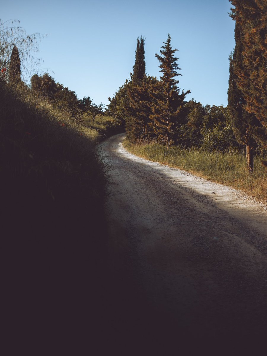 James Popsys tweet media