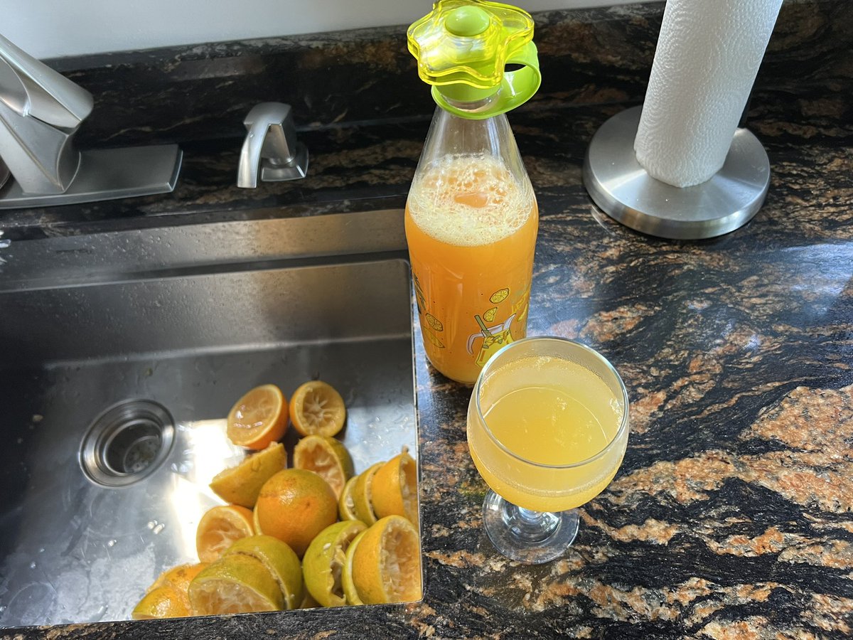 Power is out so we can’t make coffee. Solution? Hand pressed orange juice for mimosas. La electricidad está apagada, así que no podemos hacer café. ¿Solución? Jugo de naranja prensado a mano para mimosas. #PuraVida #CostaRica