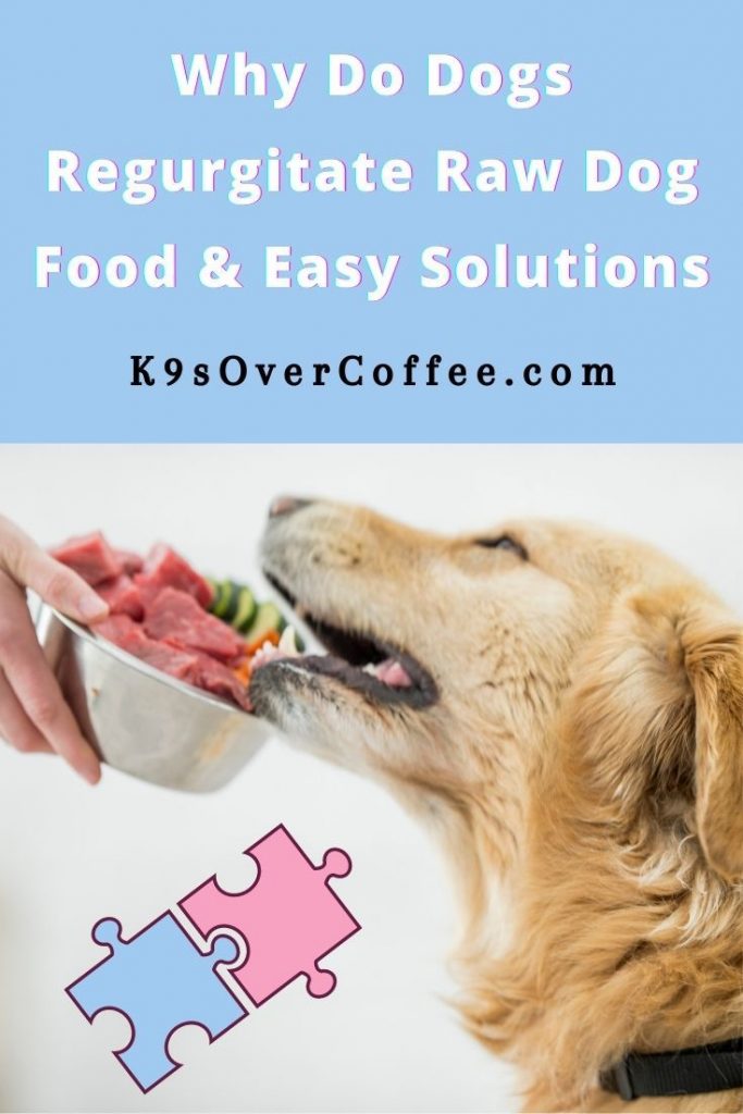 K9s Over Coffee tweet media