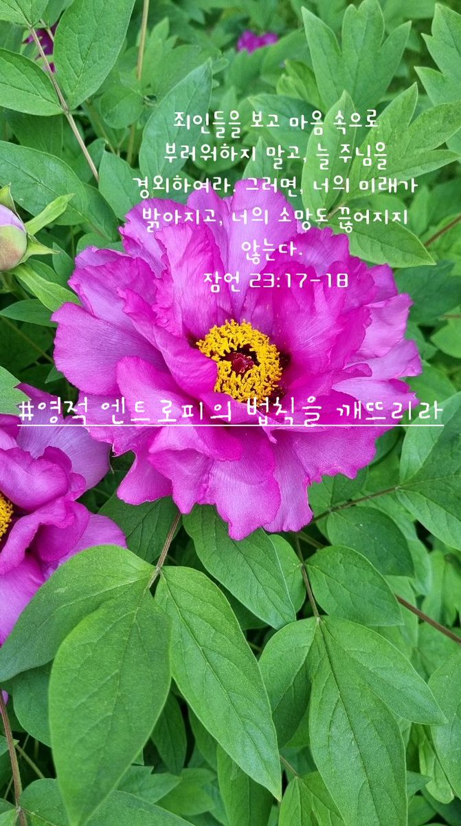 꿈꾸는 사람knetz tweet media